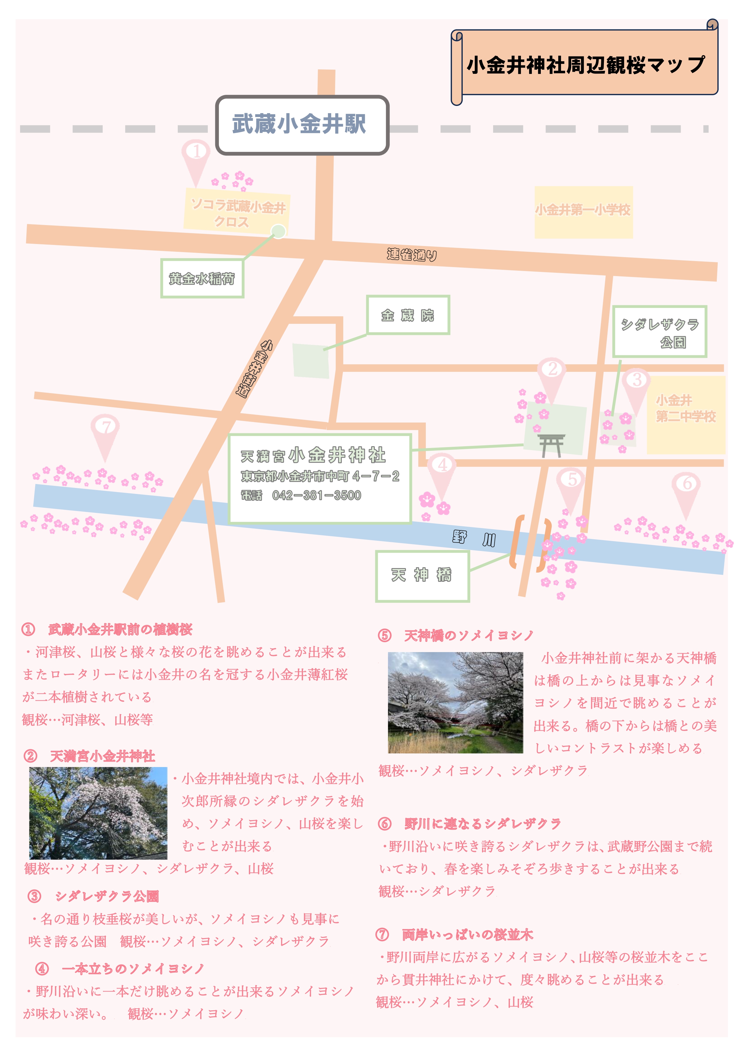 R6観桜地図