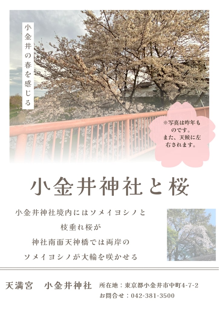 桜ポスター