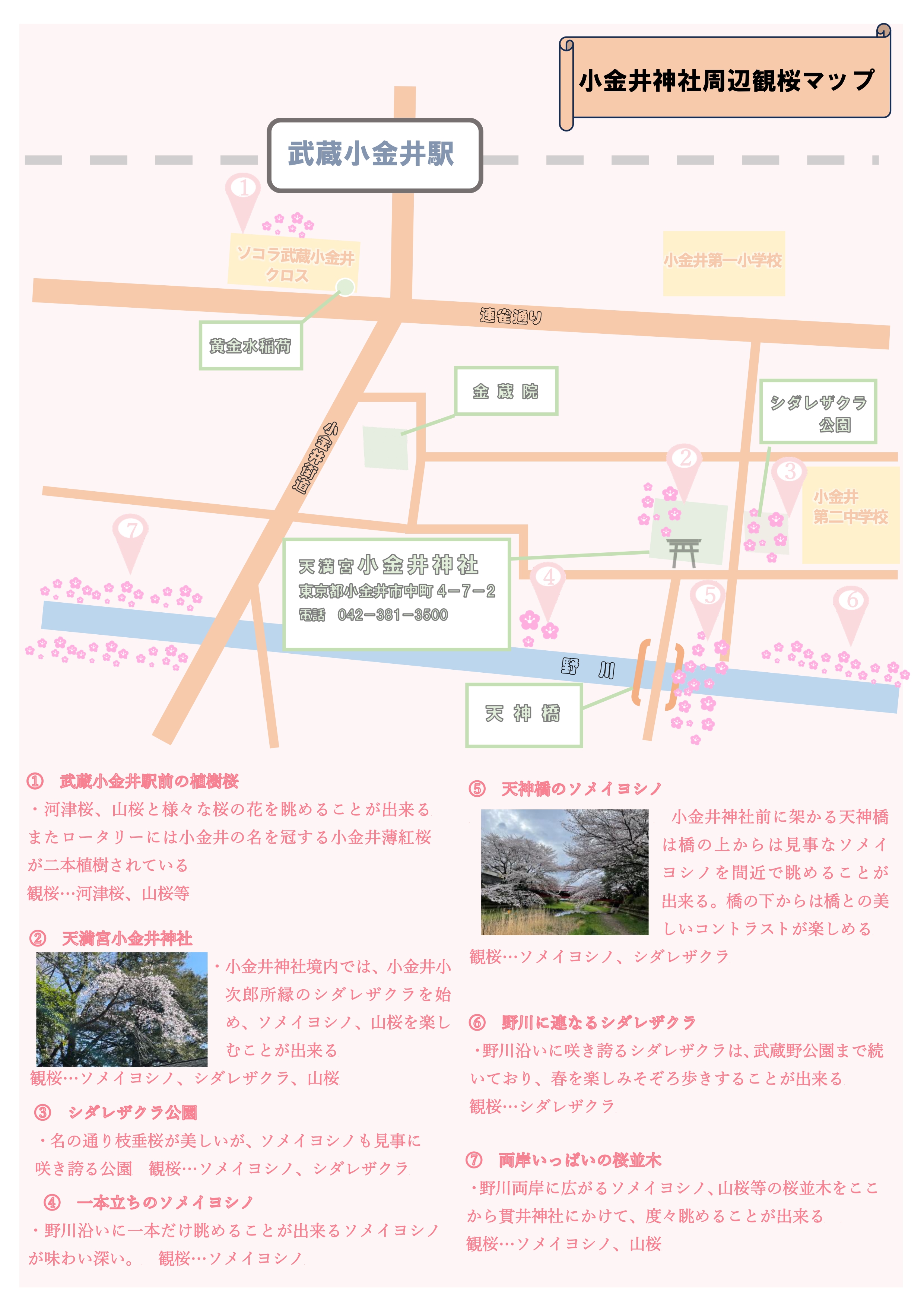 観桜地図