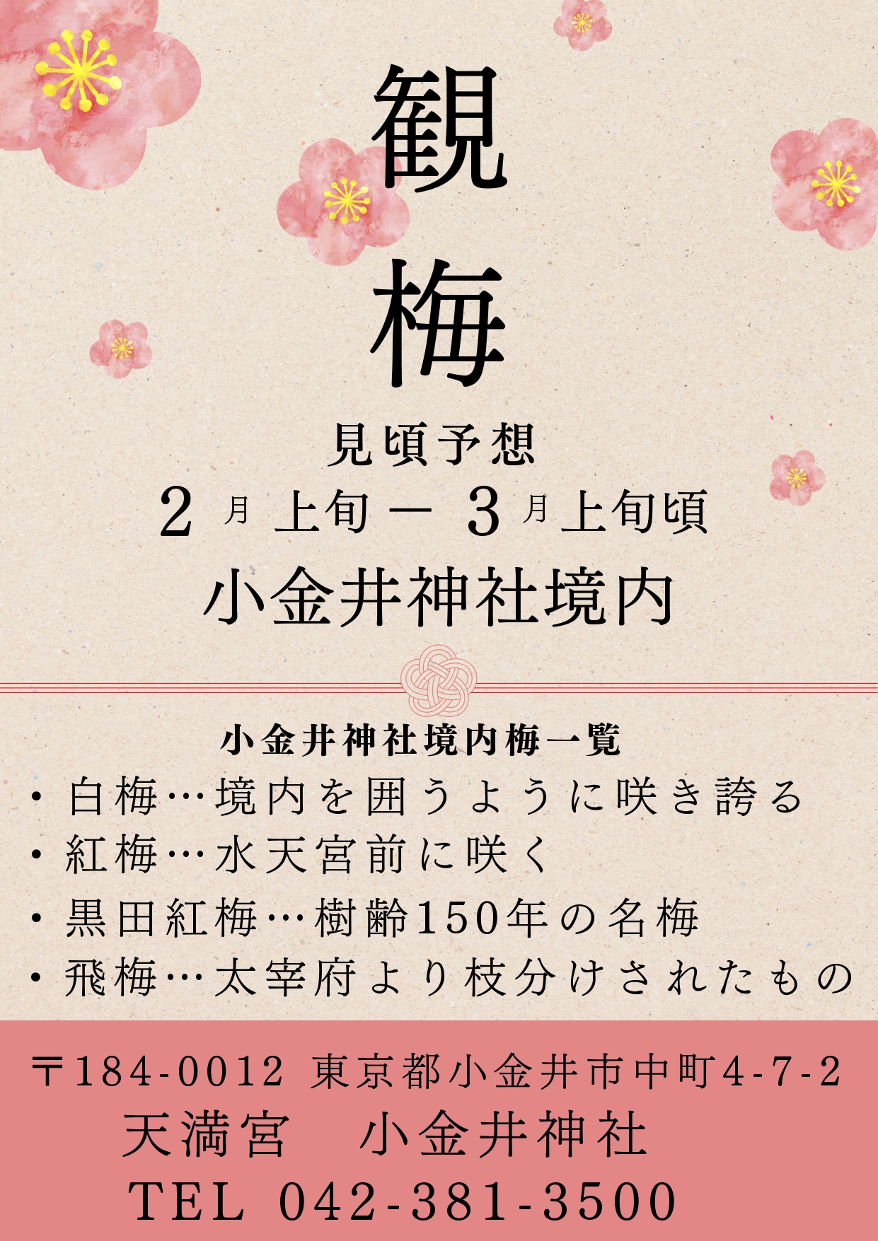 観梅